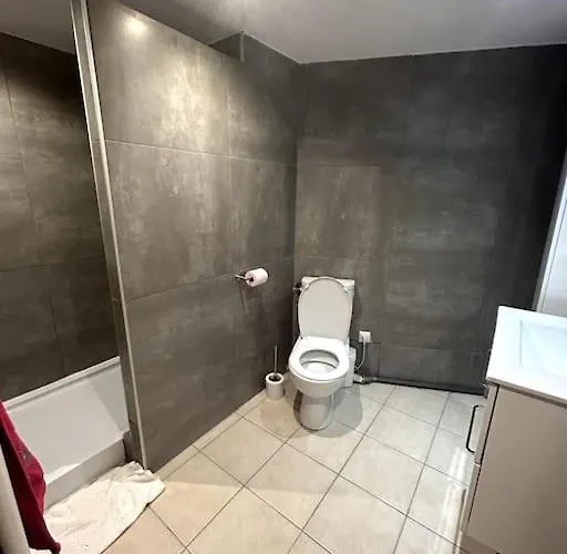 Avec Mezzanine Appartement
