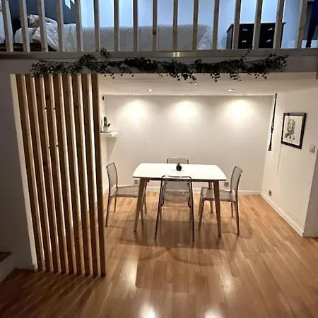 Avec Mezzanine Daire Nice